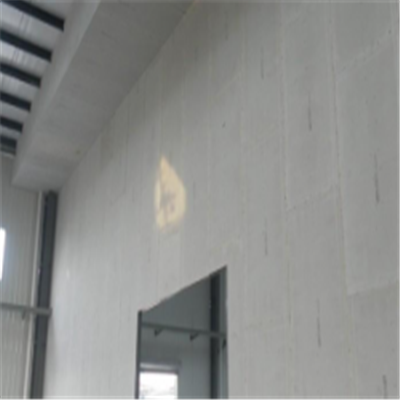 东平宁波ALC板|EPS加气板隔墙与混凝土整浇联接的实验研讨